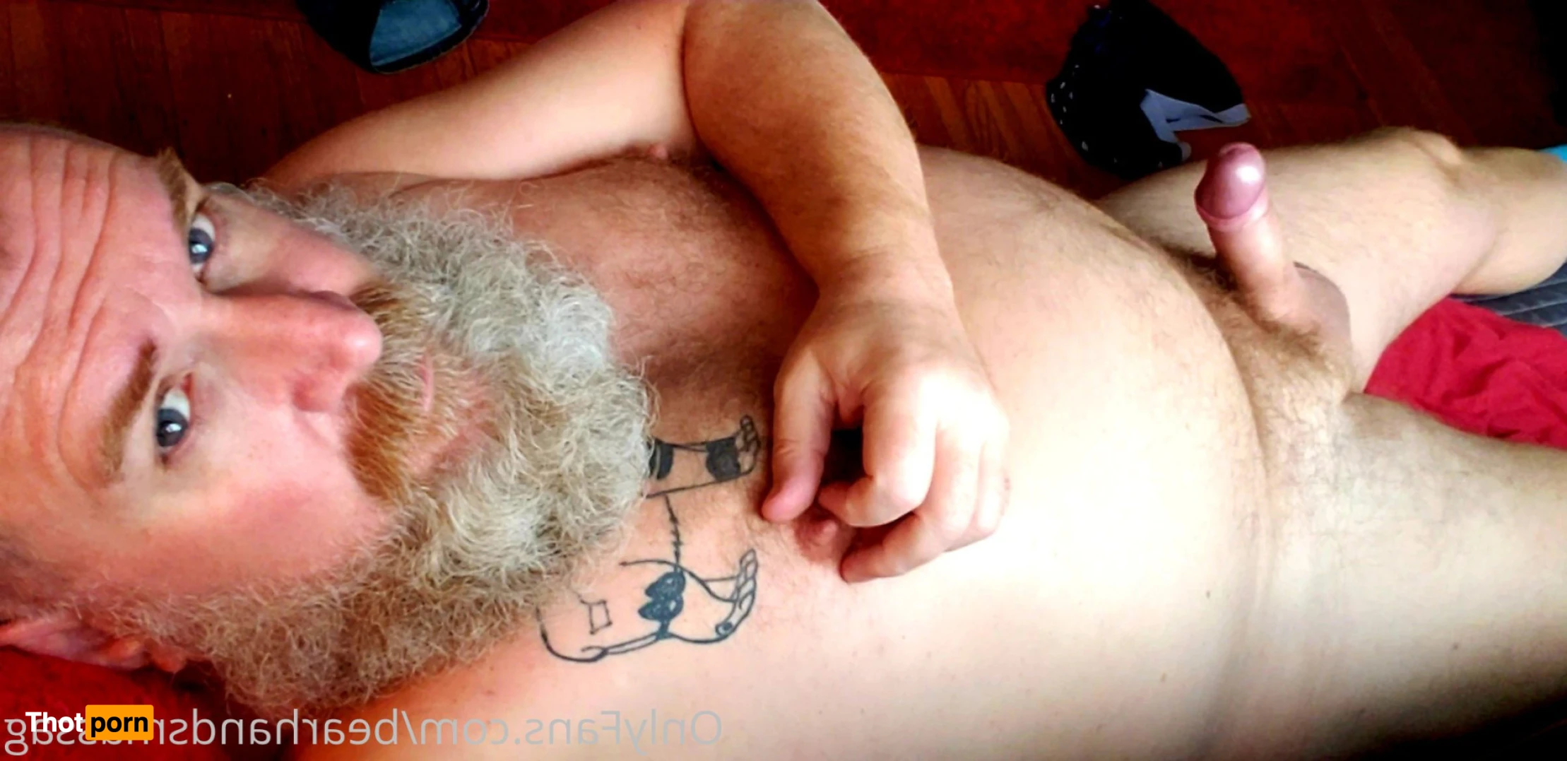 The Daddy Bear Life 15954804