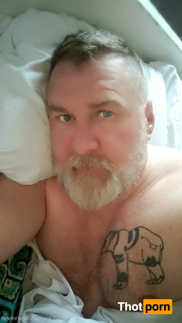 The Daddy Bear Life 15955033