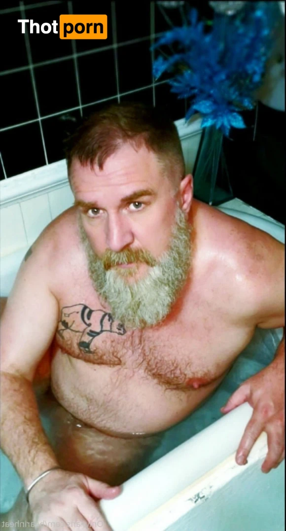 The Daddy Bear Life 15955044