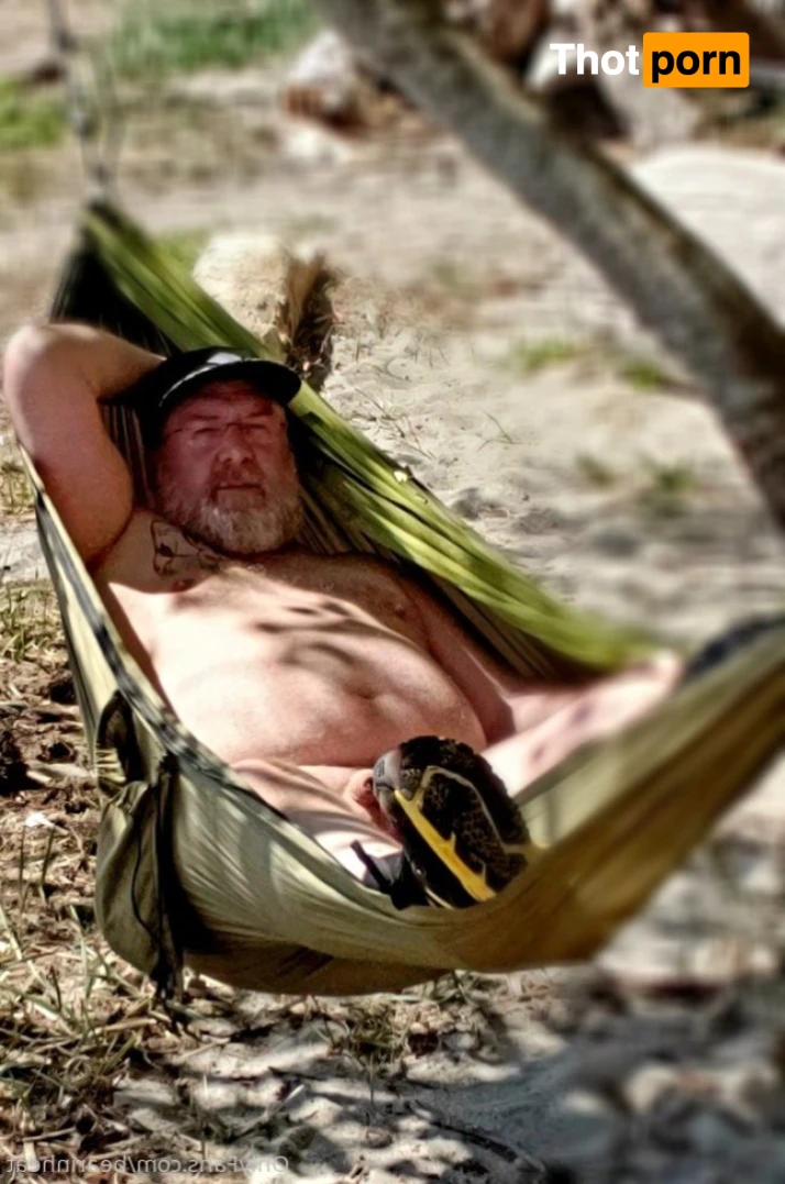 The Daddy Bear Life 15955109