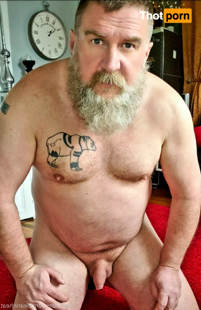 The Daddy Bear Life 15955340