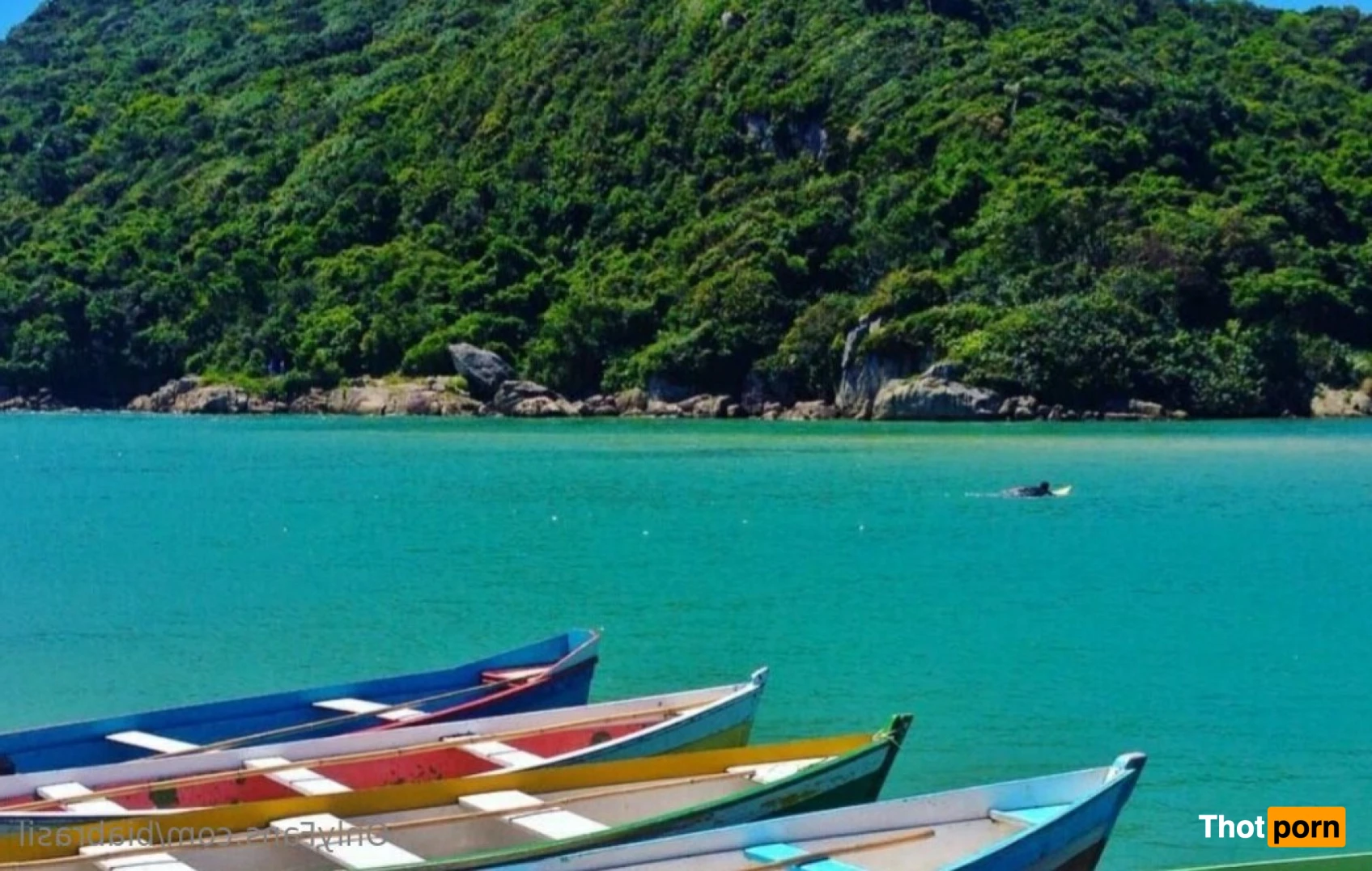 Natural life.   Our life on the beach 15742858