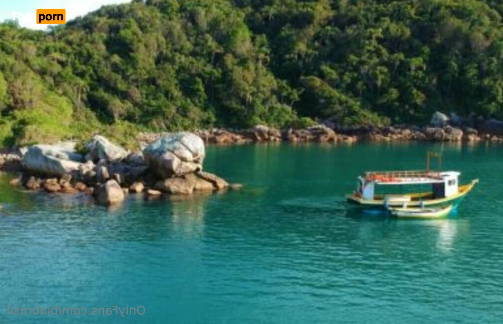 Natural life.   Our life on the beach 15742897