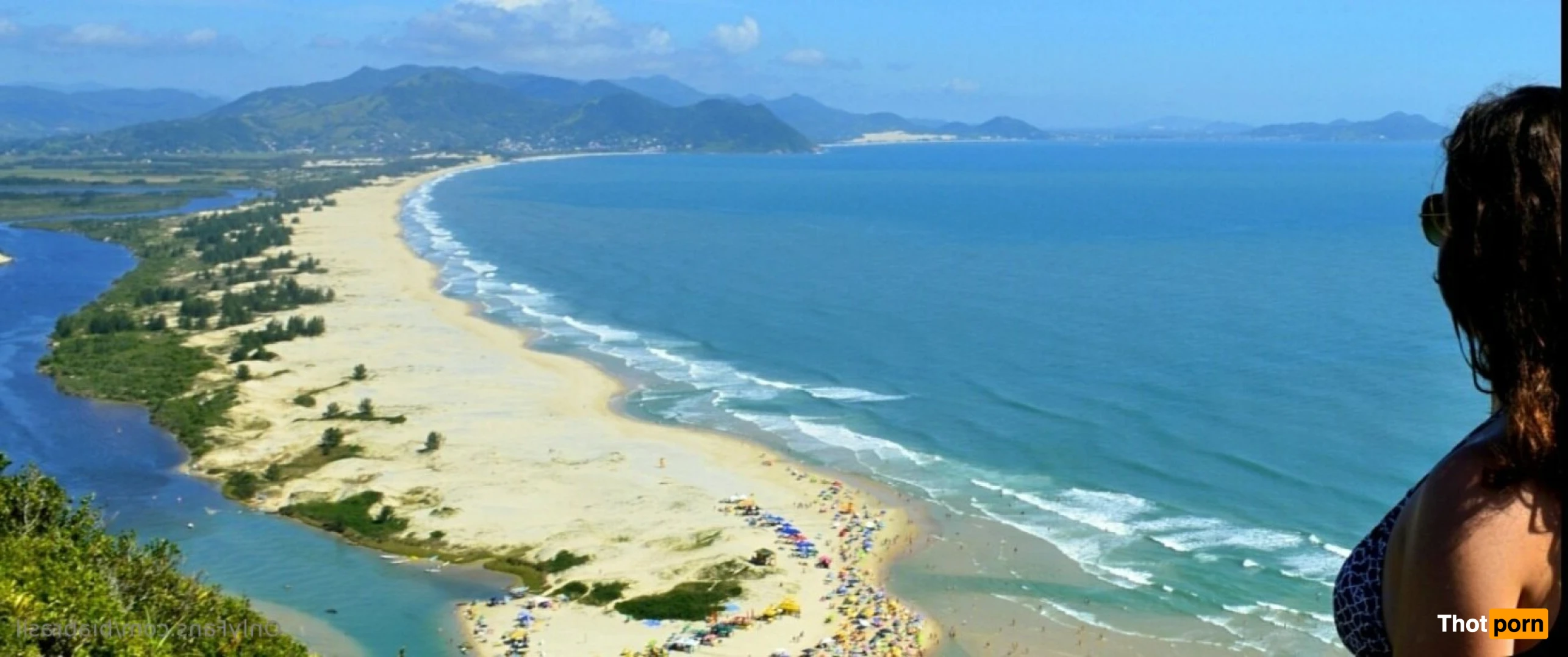 Natural life.   Our life on the beach 15743141