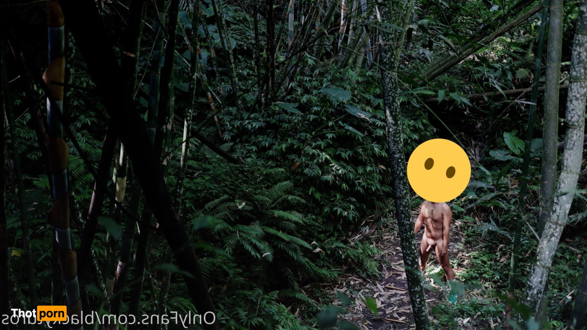 KuroLee （李小黑） 15666782