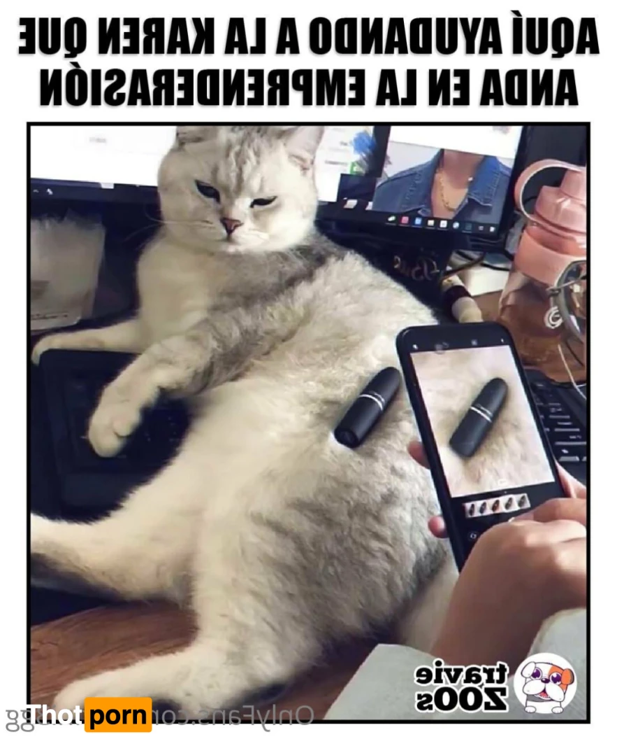 🐰ʙᴏɴɴɪ3ɢɢ  🫠 15477547