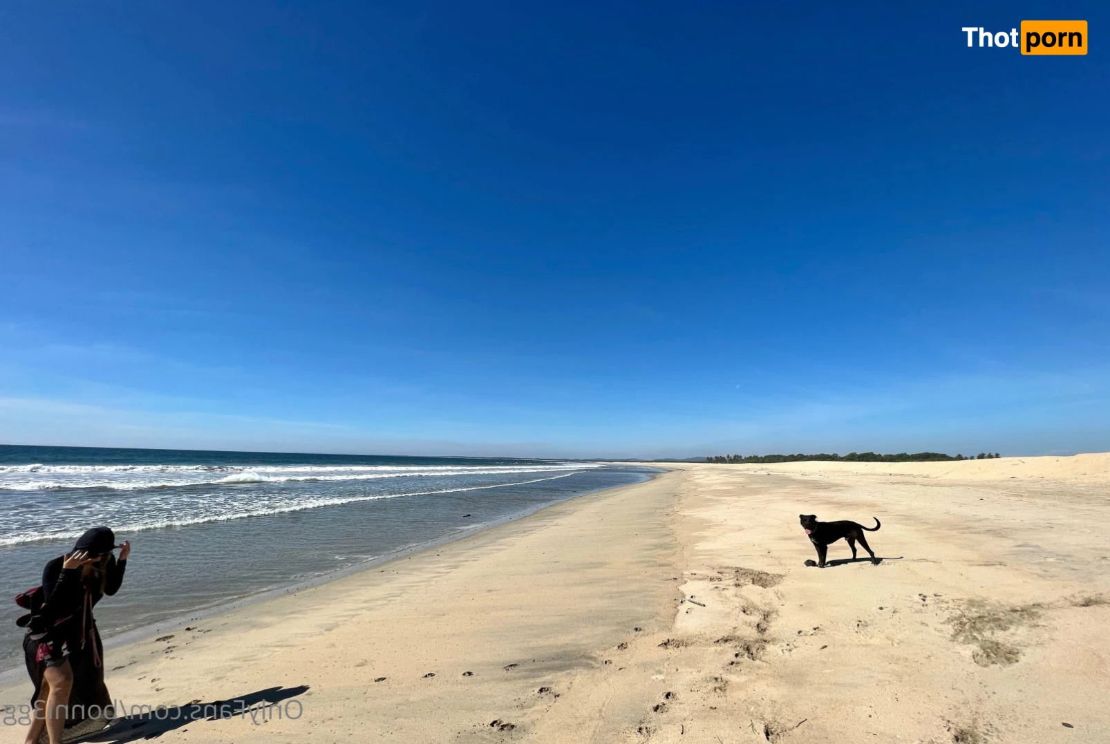 🐰ʙᴏɴɴɪ3ɢɢ  🫠 15478203