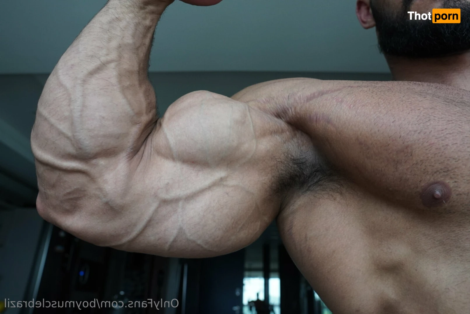 Boy Muscle Brazil 11048608