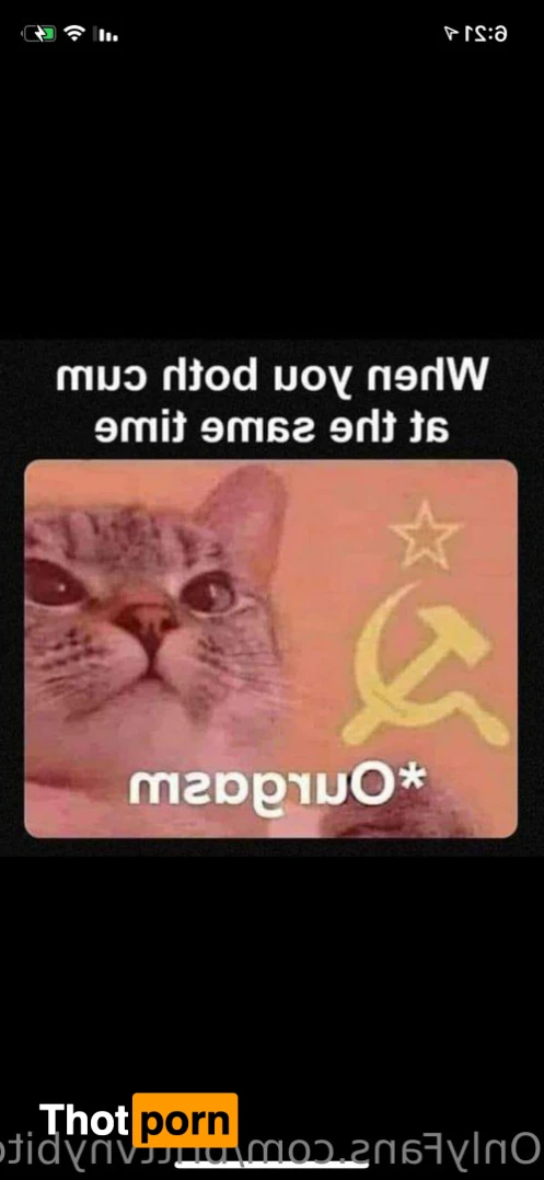 Britt 🐝🍯🥂 15379447