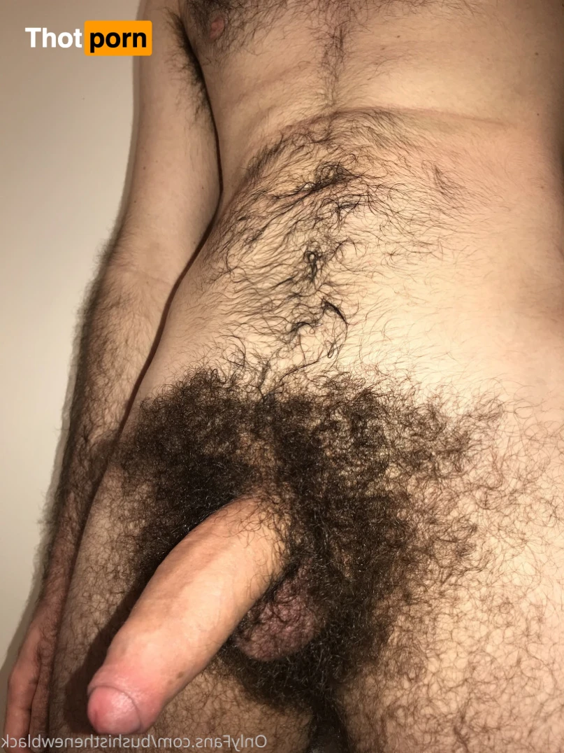 BUSH IS THE NEW BLACK 15188966