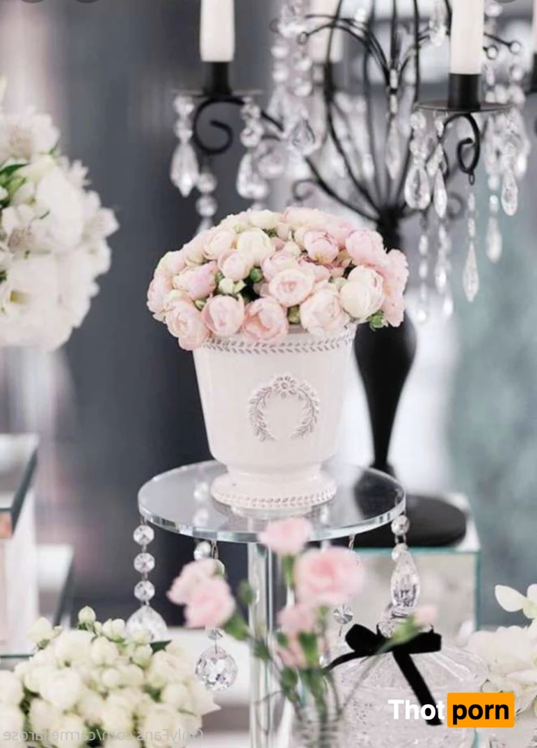 Carmella Rose 14937439