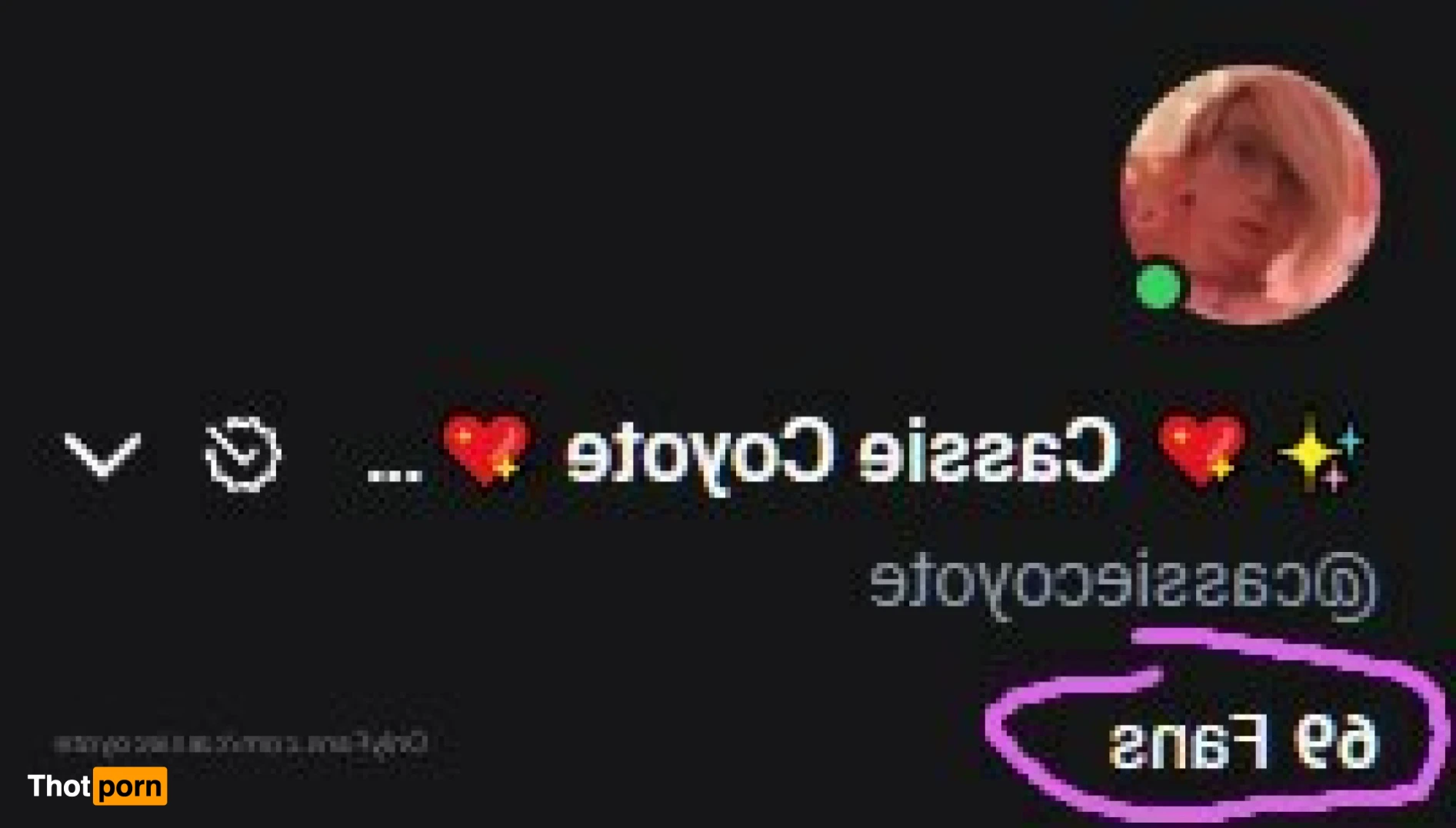 ✨💖 Cassie Coyote 💖✨ (NEW ACCOUNT! ^_^) 10994439