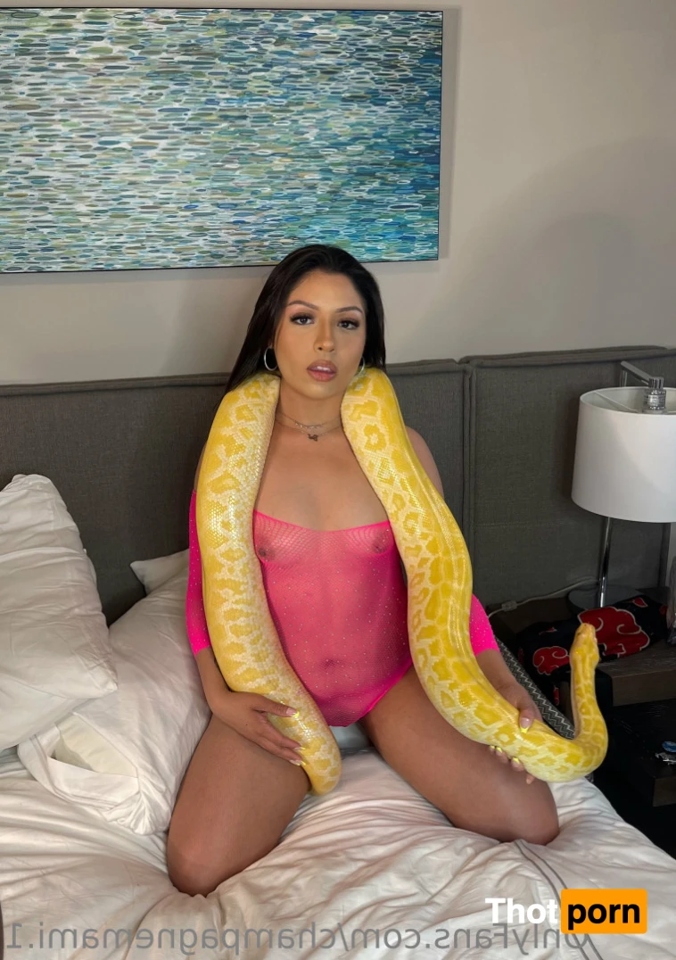 Champagne Mami 14745876