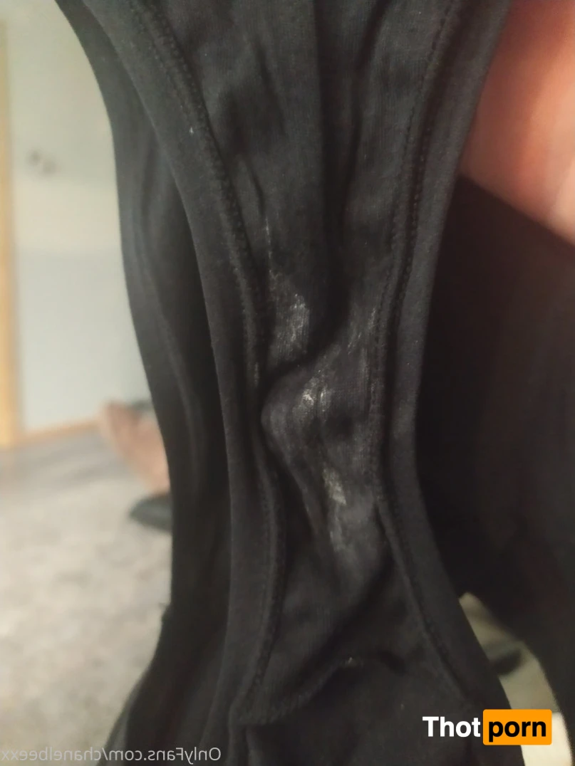 Chanel Bee xxx FREE😈😈 14744948