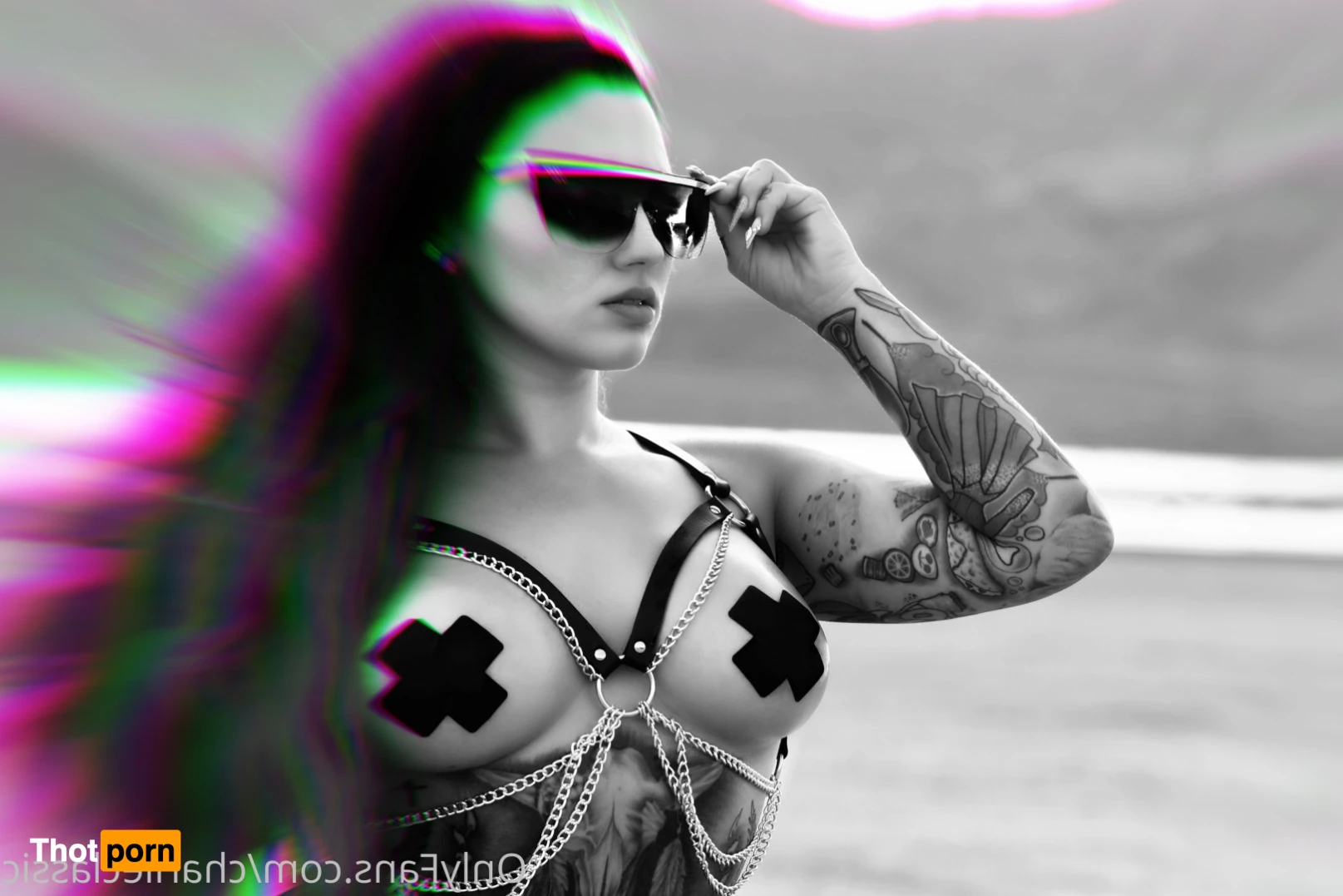 CharlieClassic 14687498