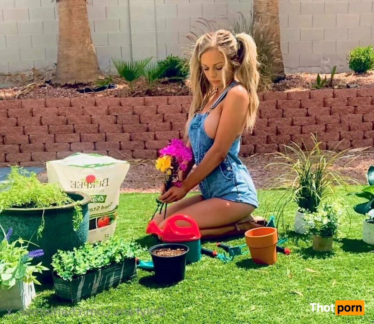 Charlie🌹Rose 14682789