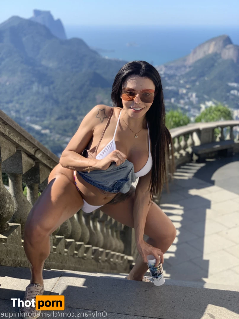 Dominique charre 14667362