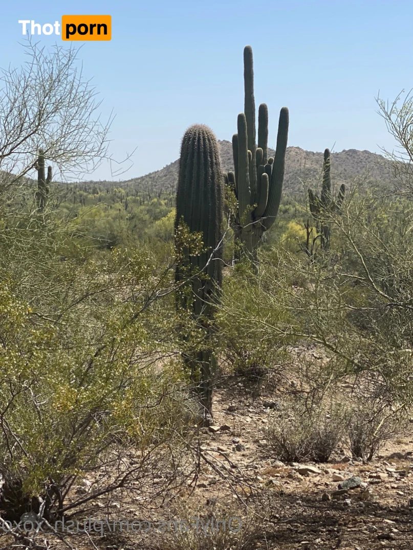 Cheating Wife 14663734