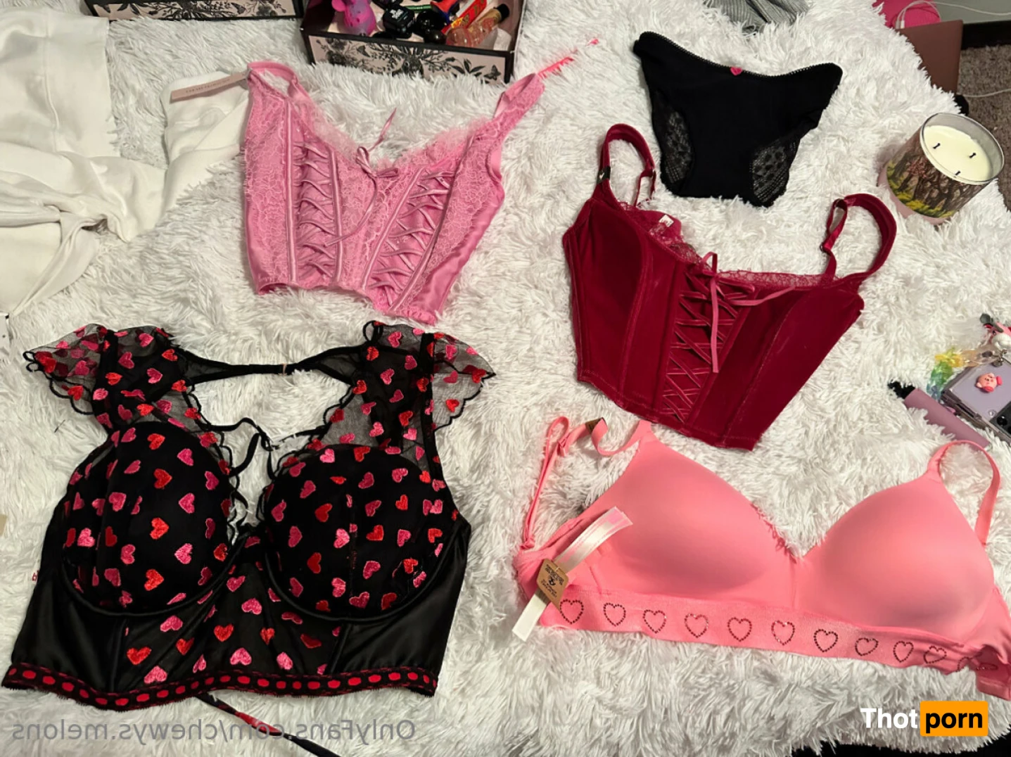 Chewy🌸 VIP 14412527