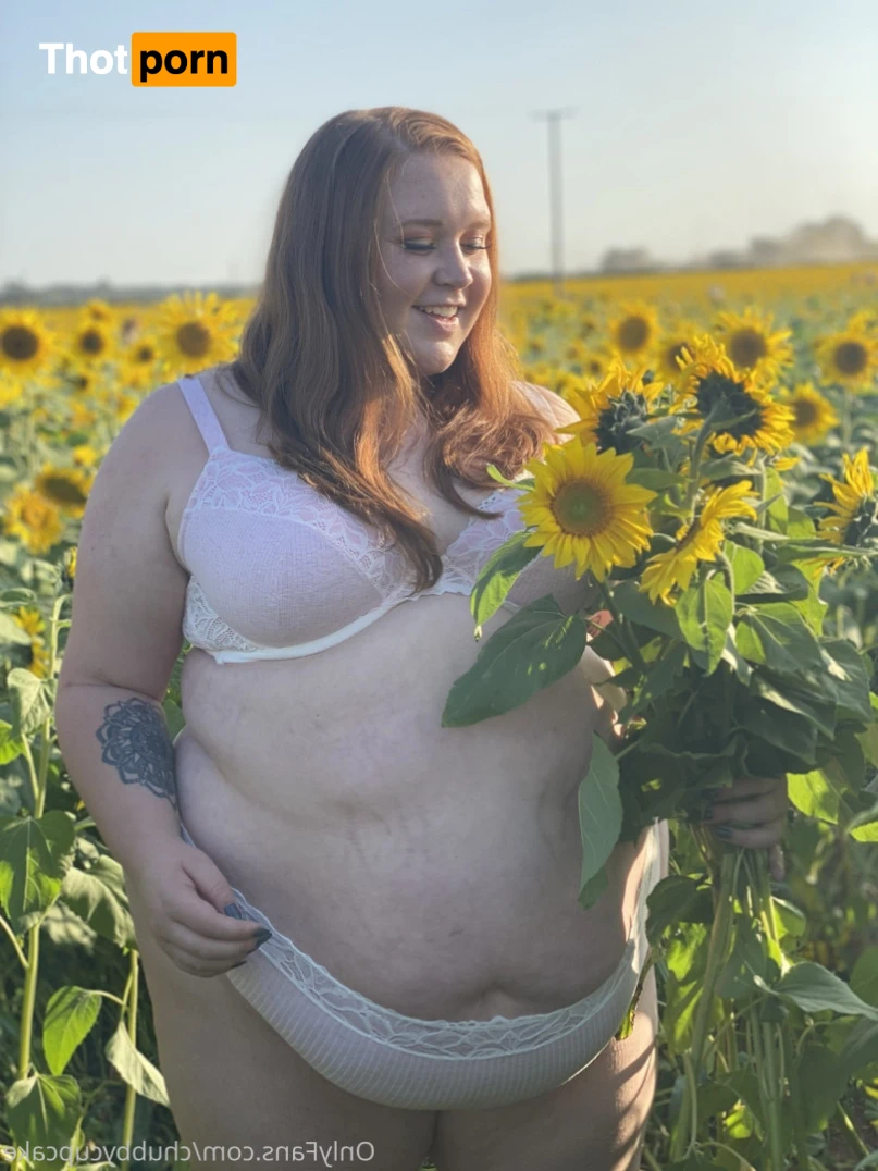 Chubby Cupcake 14352101