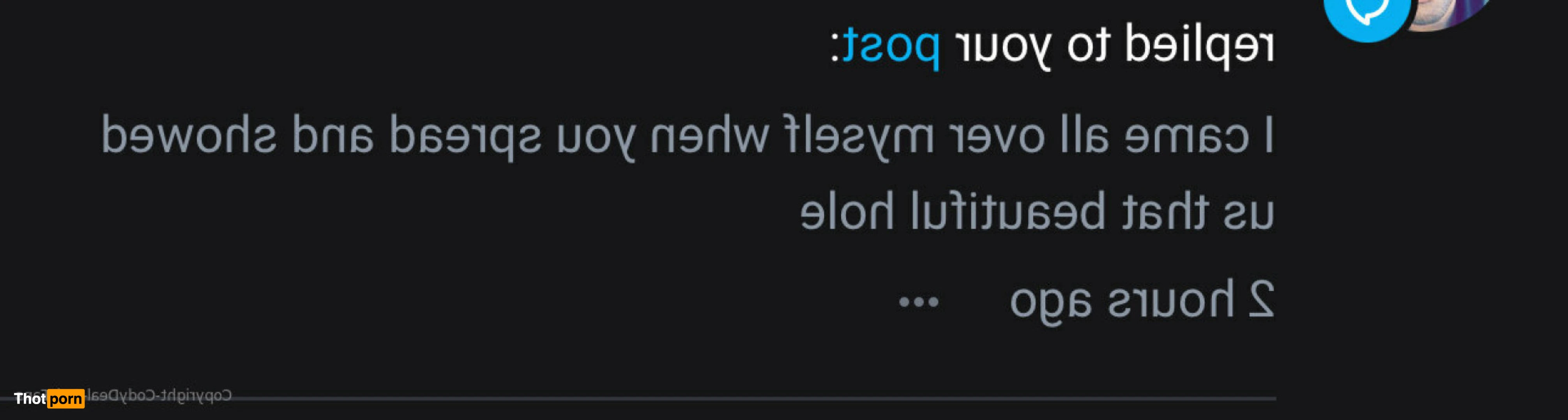 CODY DEAL COMMUNITY 14088399