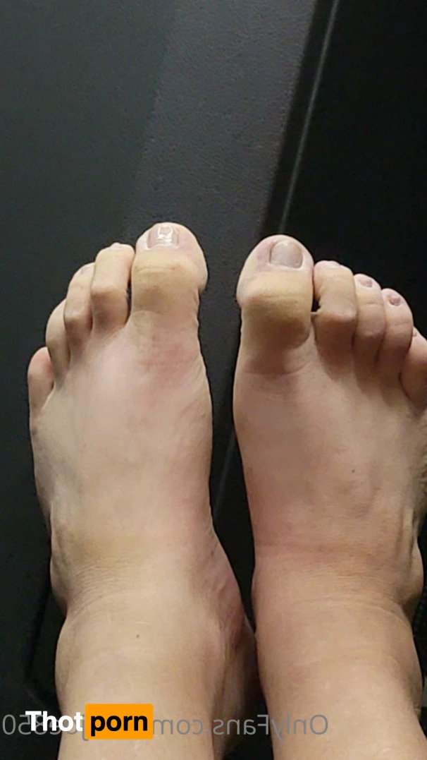 Joe Collins 10974475