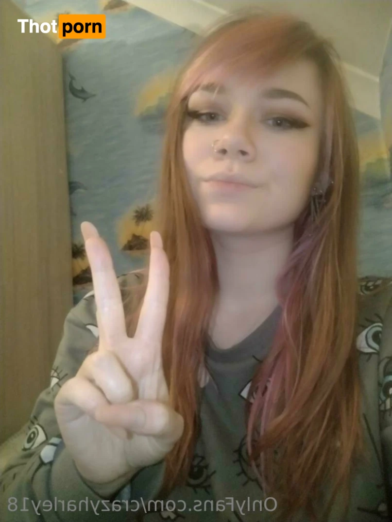 Crazy Harley 13872225