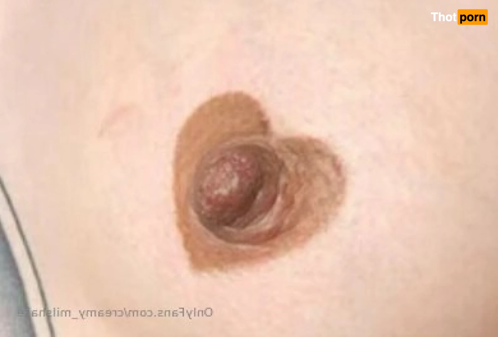 Creamy_milshake 13865932