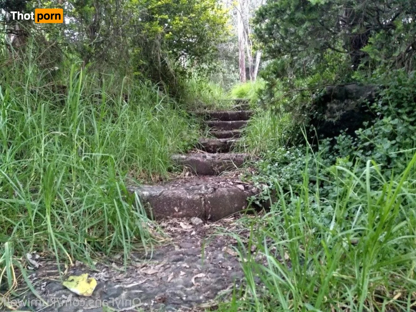 Cupid ˗ˏˋ ♡ˎˊ˗ 13781434