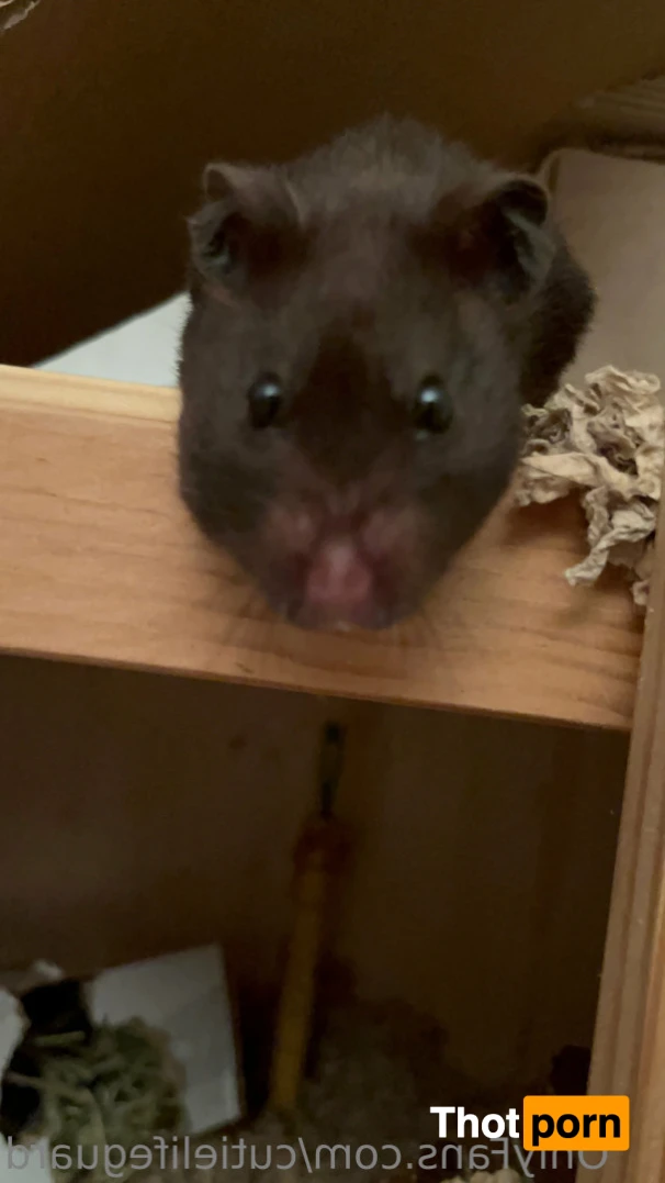 kira🛟 (FREE) 13588627