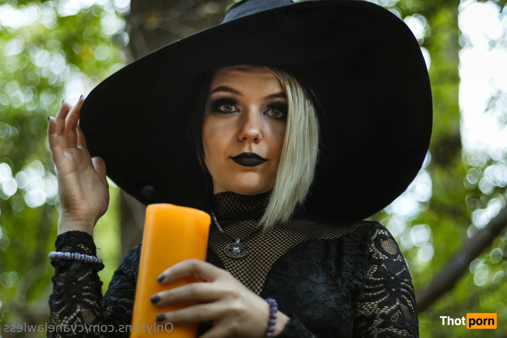 Cyane Lawless 13537211