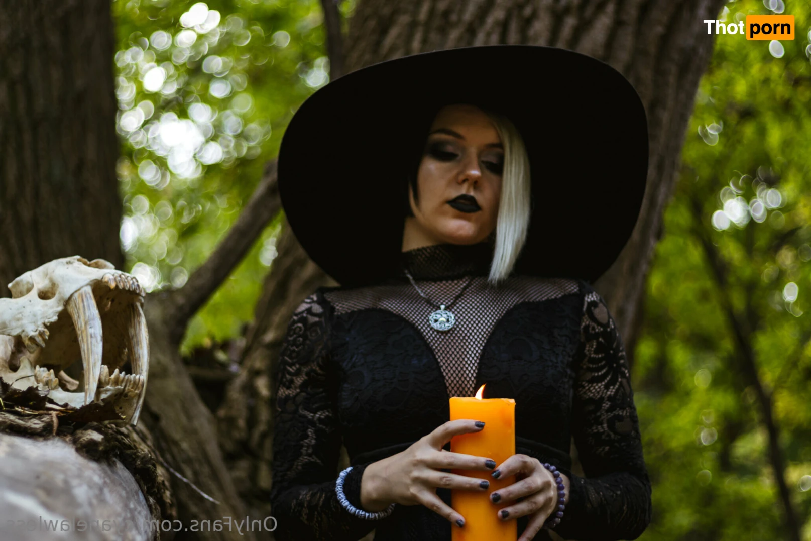 Cyane Lawless 13537577