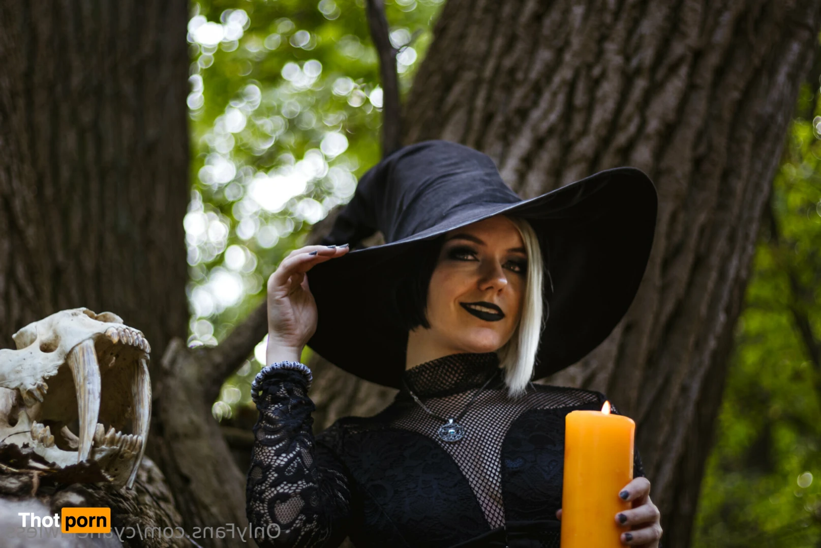 Cyane Lawless 13538425