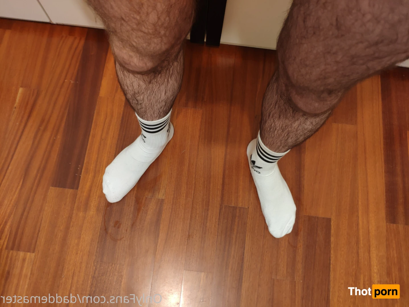 DaddeMaster 13526598