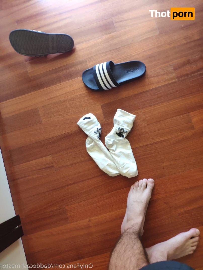 DaddeMaster 13526681