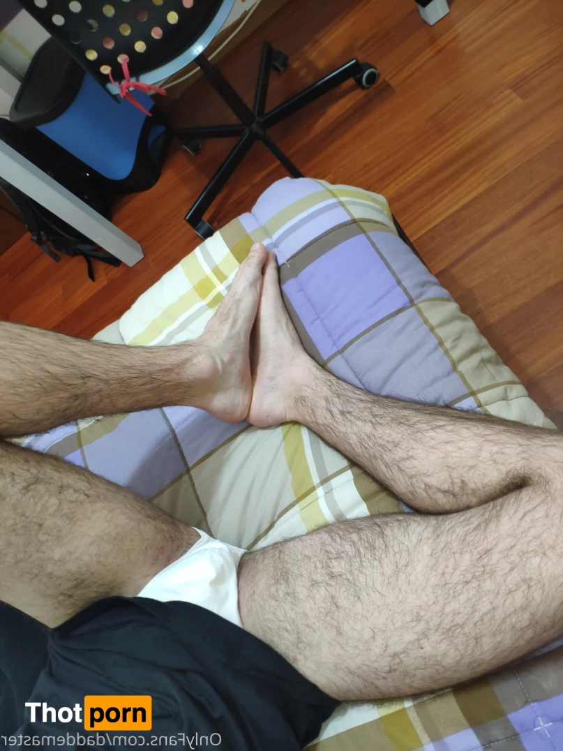 DaddeMaster 13526684