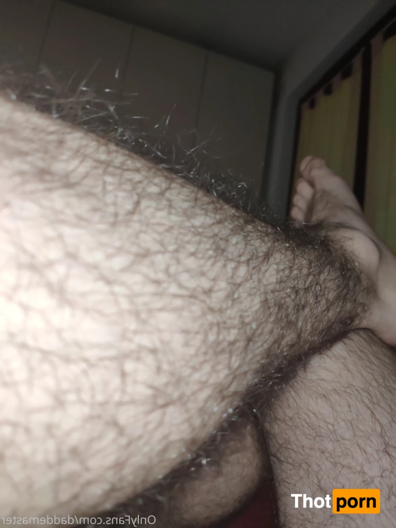 DaddeMaster 13526739