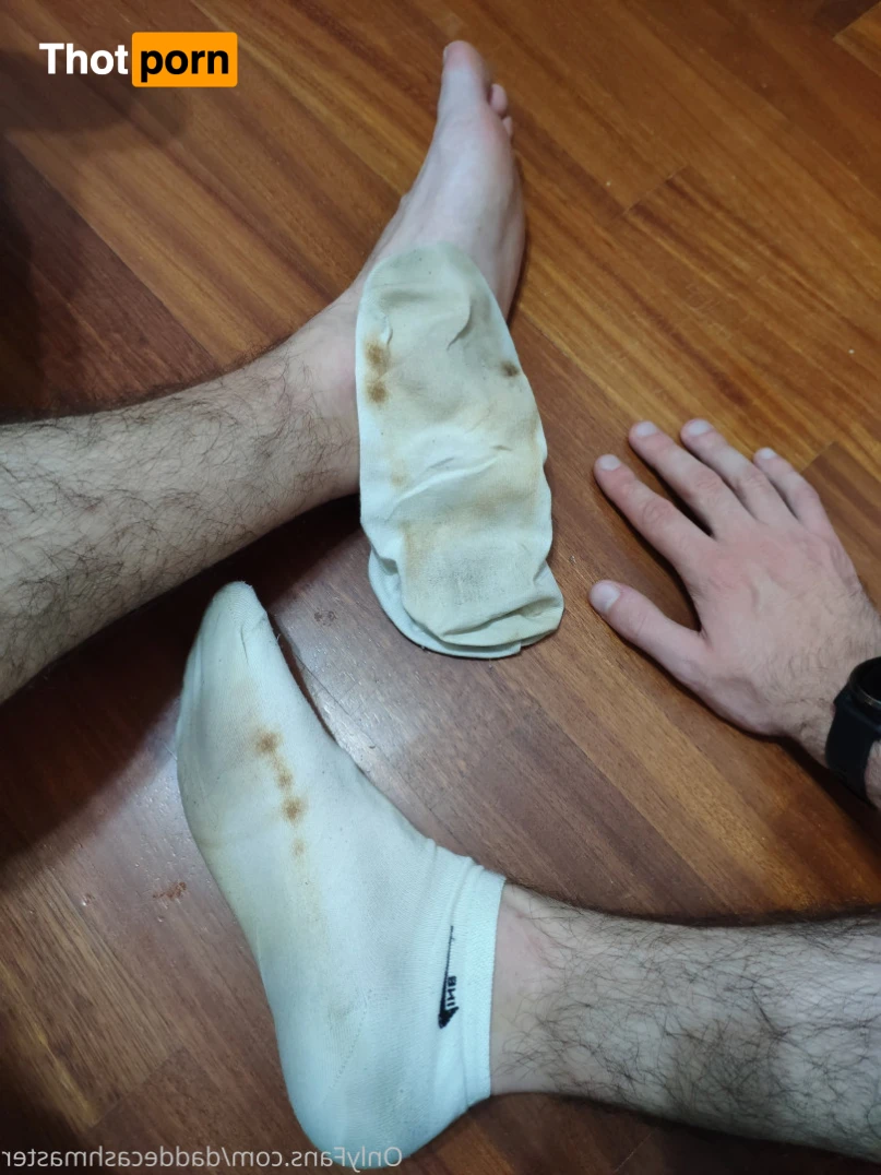 DaddeMaster 13526806