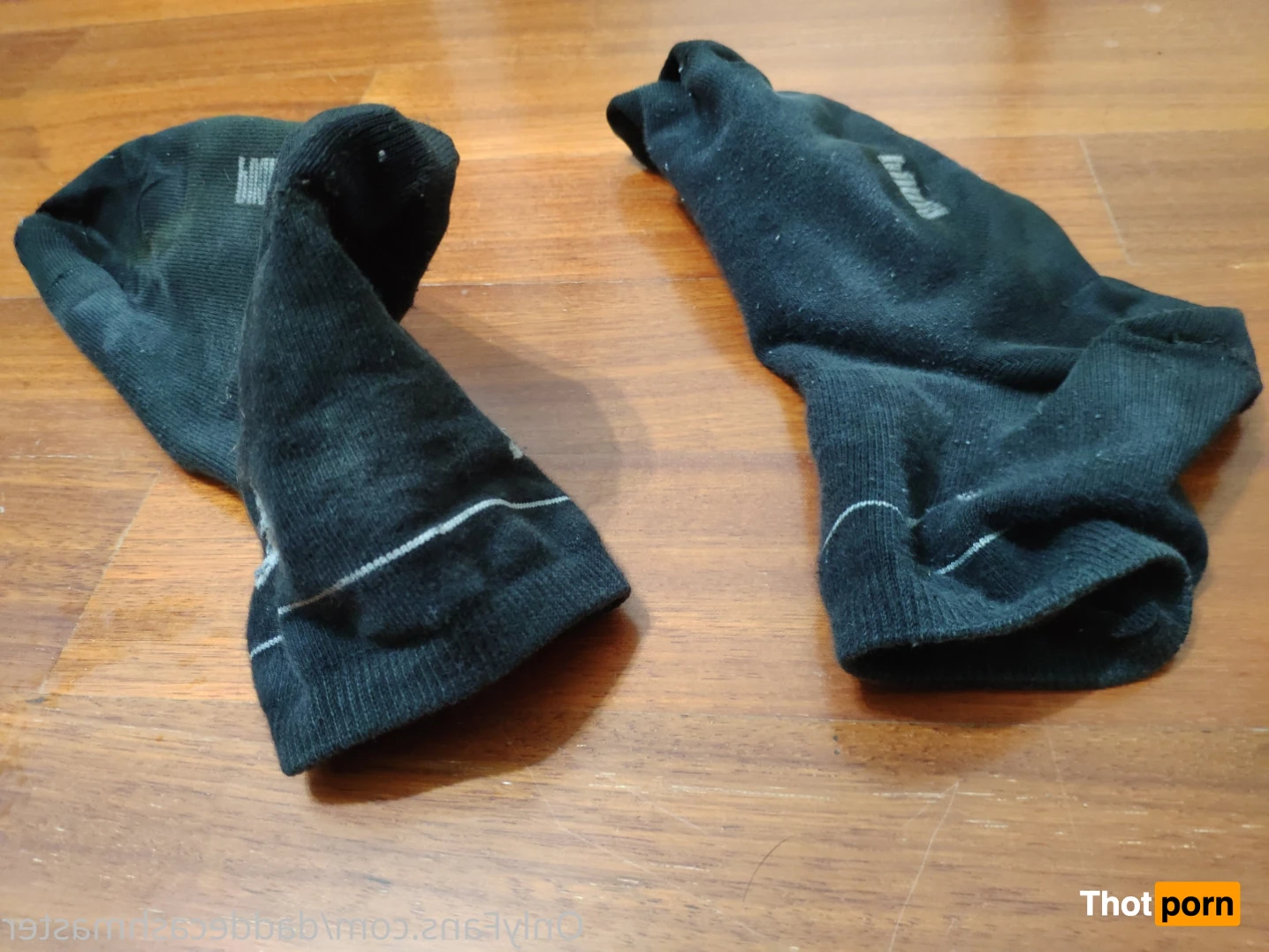 DaddeMaster 13526921