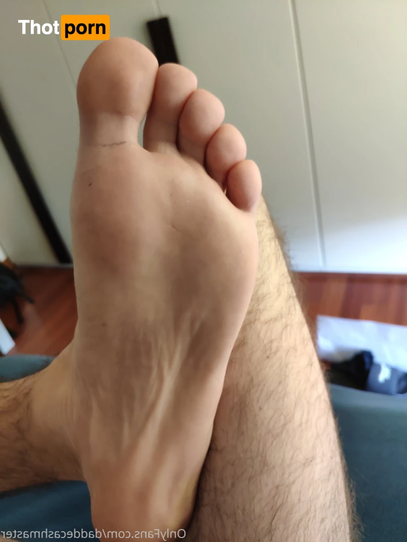 DaddeMaster 13527054