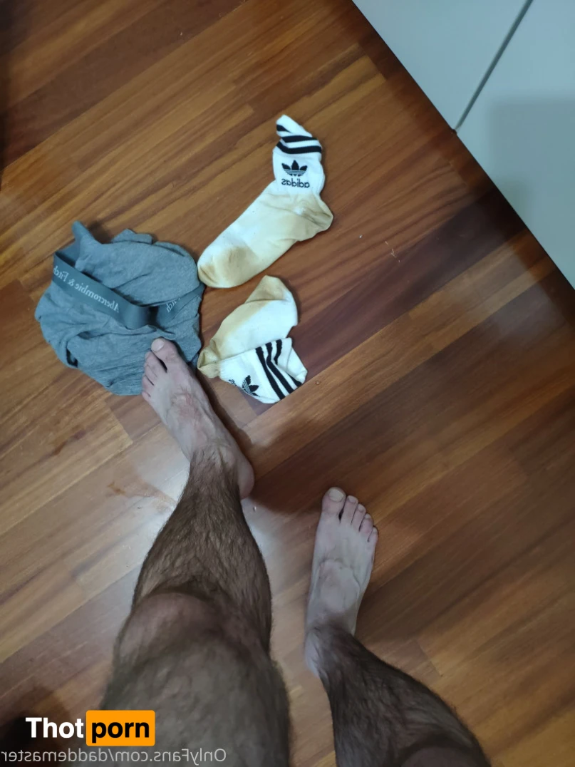 DaddeMaster 13527118