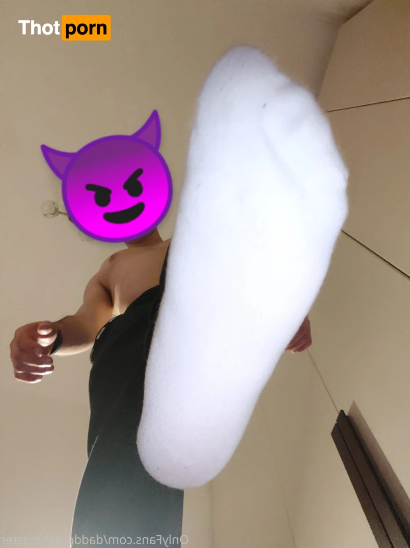 DaddeMaster 13527488