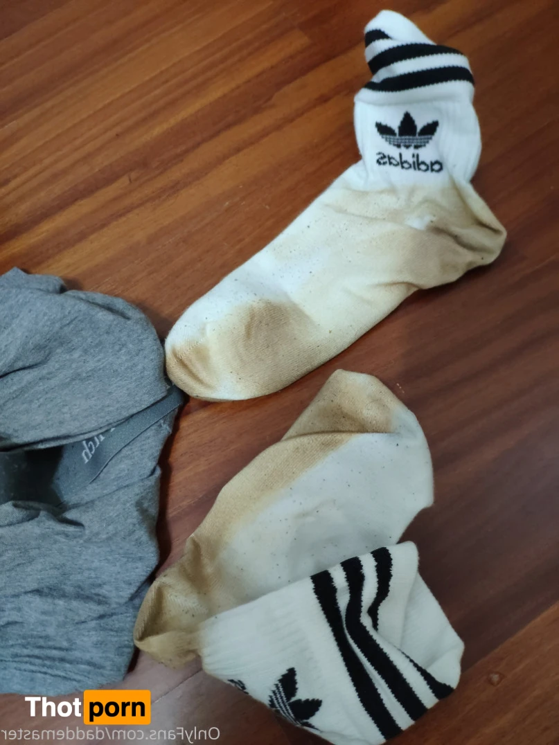 DaddeMaster 13527629