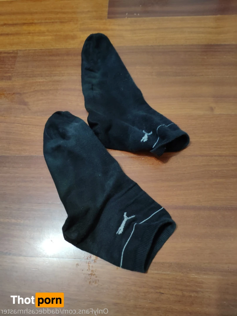 DaddeMaster 13527684