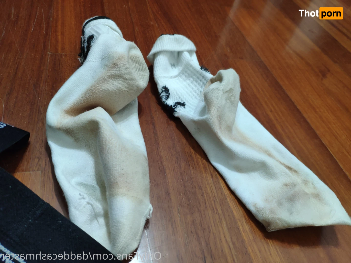 DaddeMaster 13527995