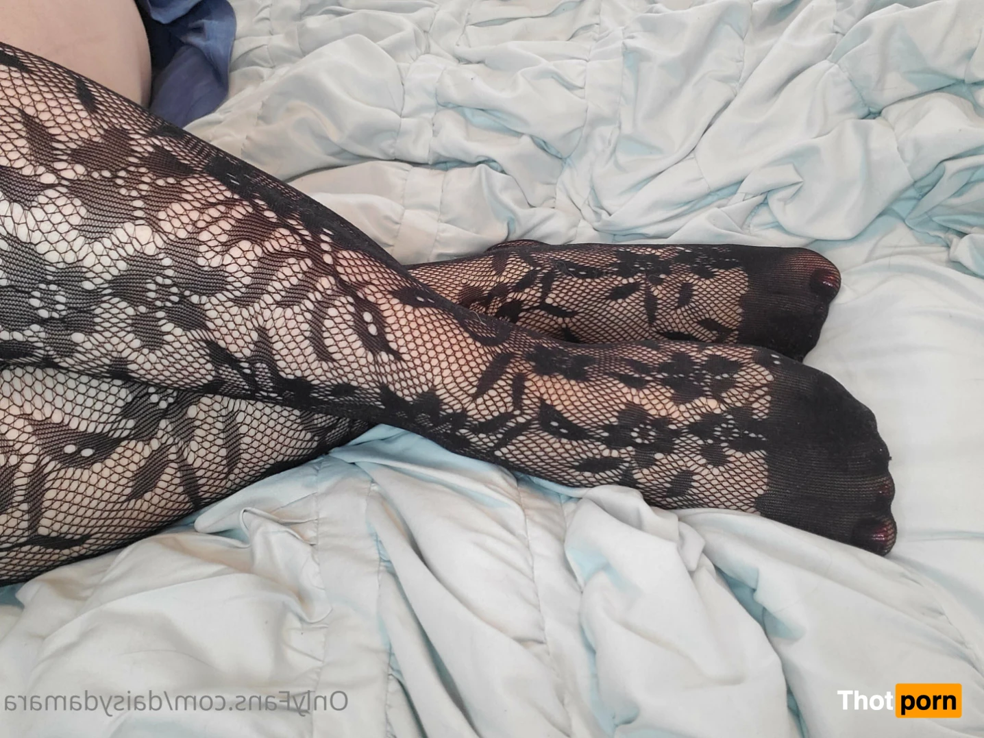 Daisy Damara 13417256