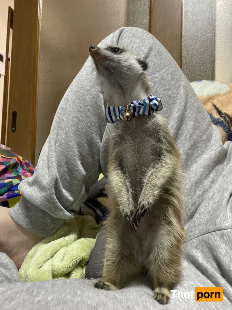 Umi Mitoma VIP account 6248292