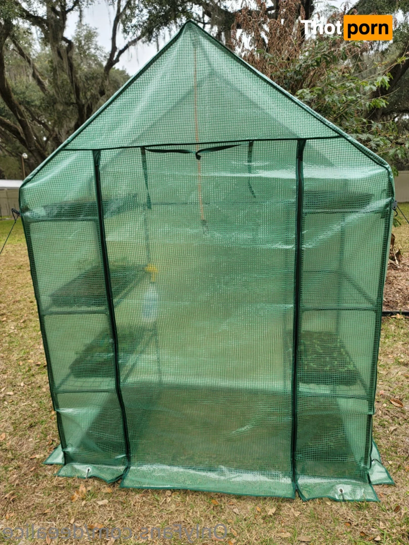 Dee Alice🌲🌷 13168416