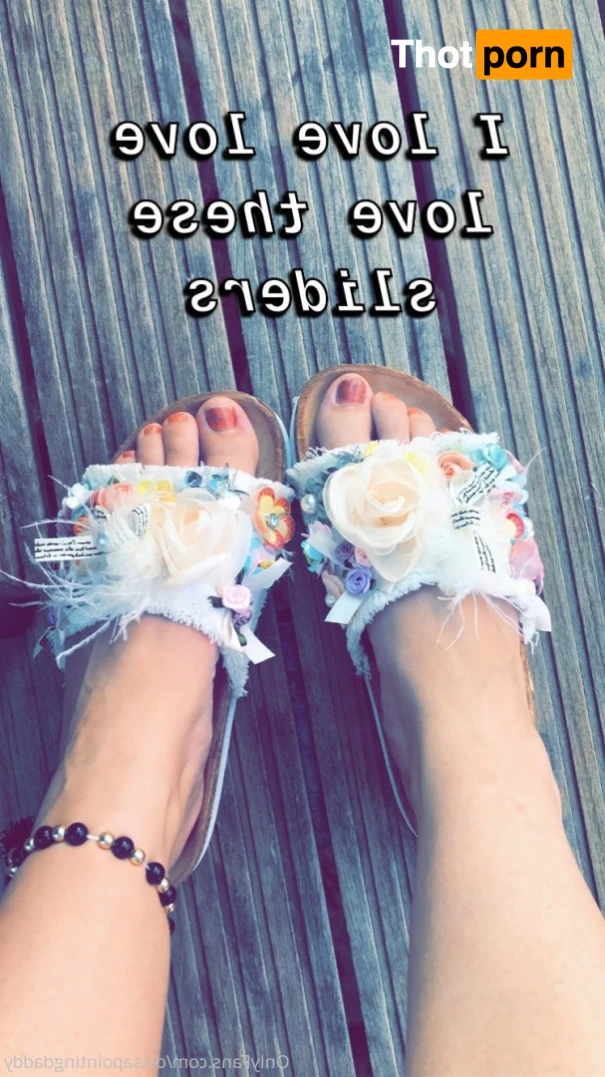 dissapointingdaddy 13039565