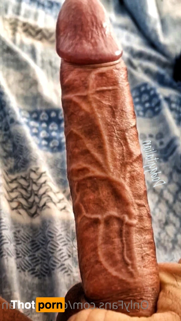 Dodgy Italian 12986494